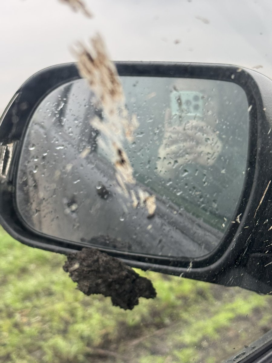 マリヤMagdalena tweet media