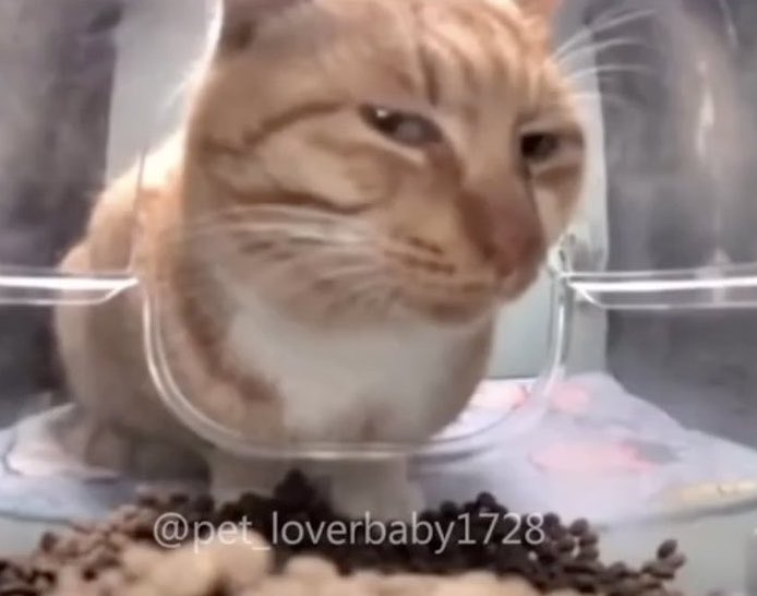 김건희 맞는거 같은대