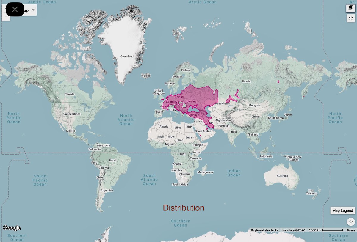 🐿️ 🇨🇭🇦🇹 🦋 Jennie 🐸 🇱🇮 🇩🇪 🦢 tweet media