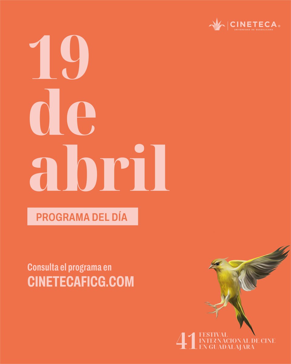 Cineteca FICG tweet media