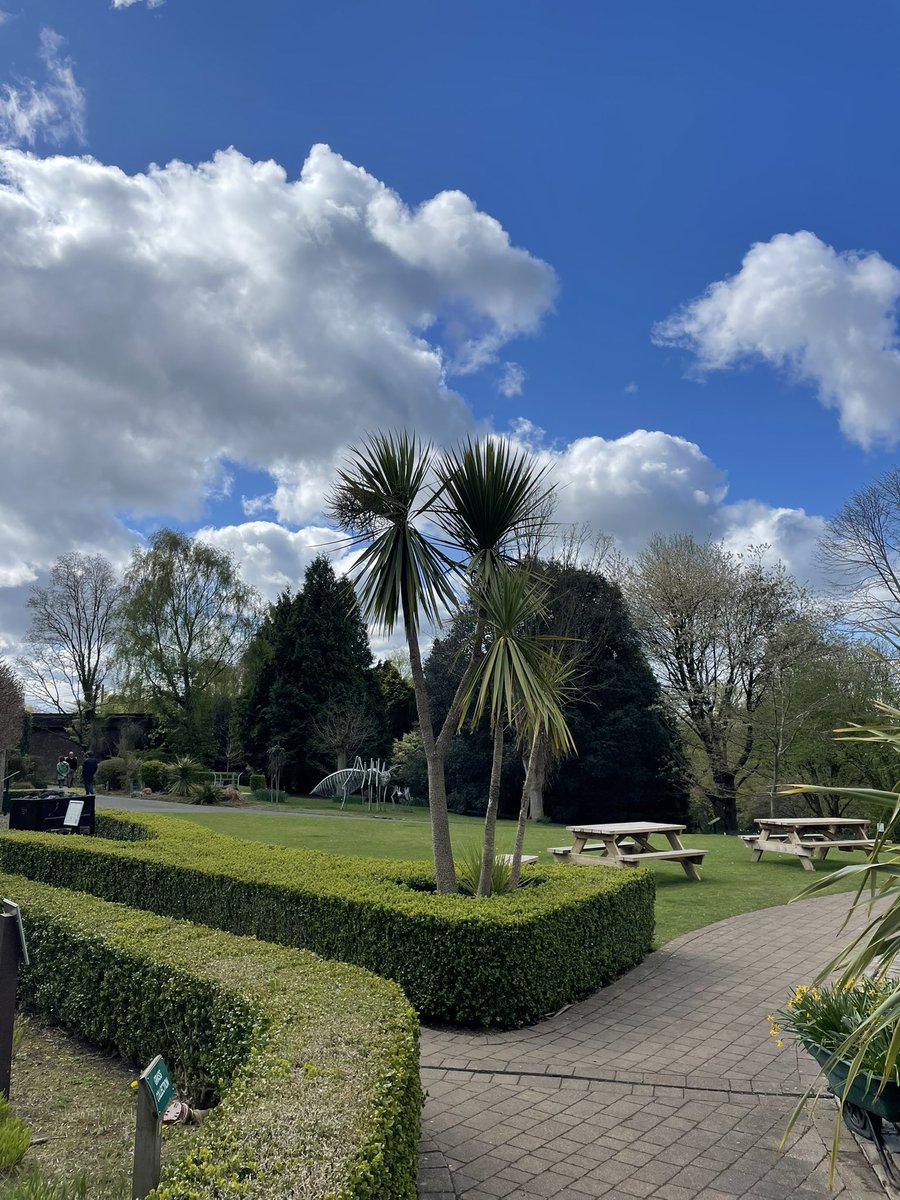devereux1655's tweet image. Durham botanical gardens #trees #TreeClub #SundayBlessings #Sunshines 🌸🌼🌺