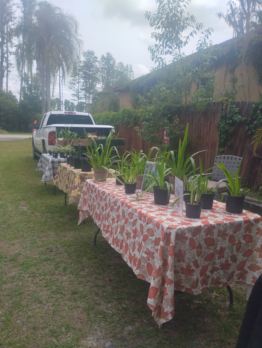 The_IslandGroup's tweet photo. Come support The Island's plant sale today until 4 p.m.! https://t.co/FTIANVsAp4