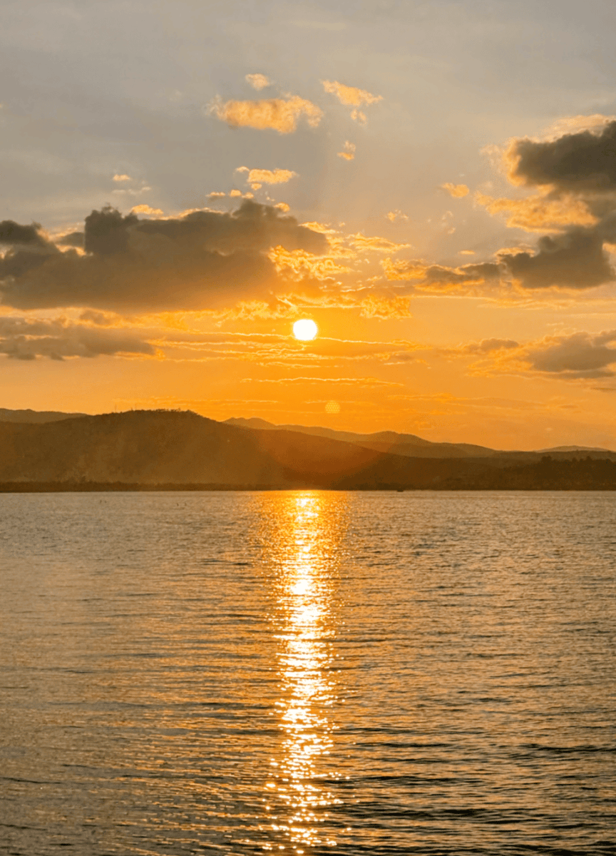 jay jack tweet media