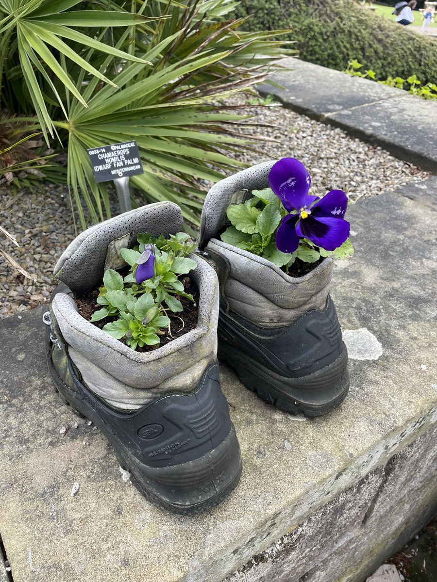 devereux1655's tweet image. These boots were made for ……..flowers #boots #flowers #creative 🌸🌼🌺🌻🌷🌹💐