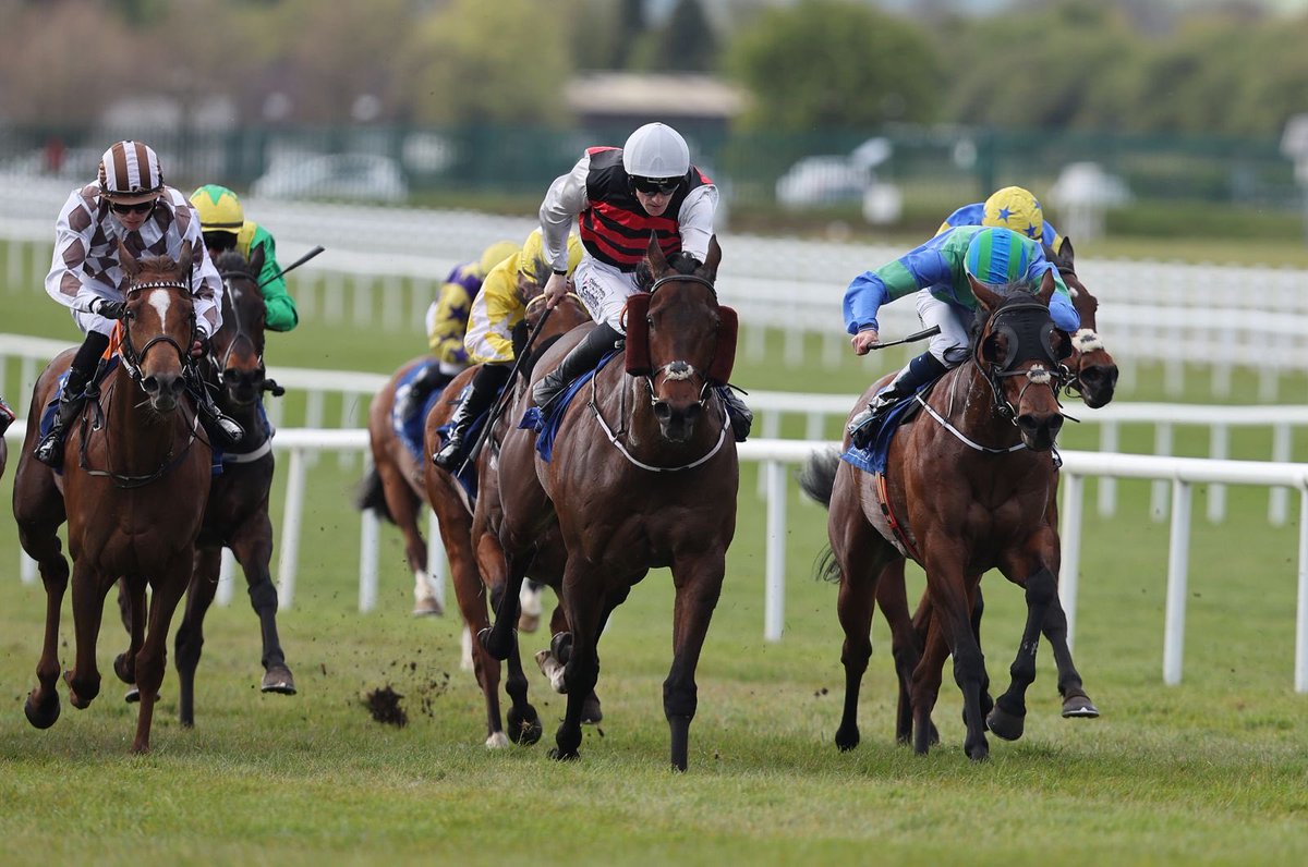 The Curragh Racecourse tweet media