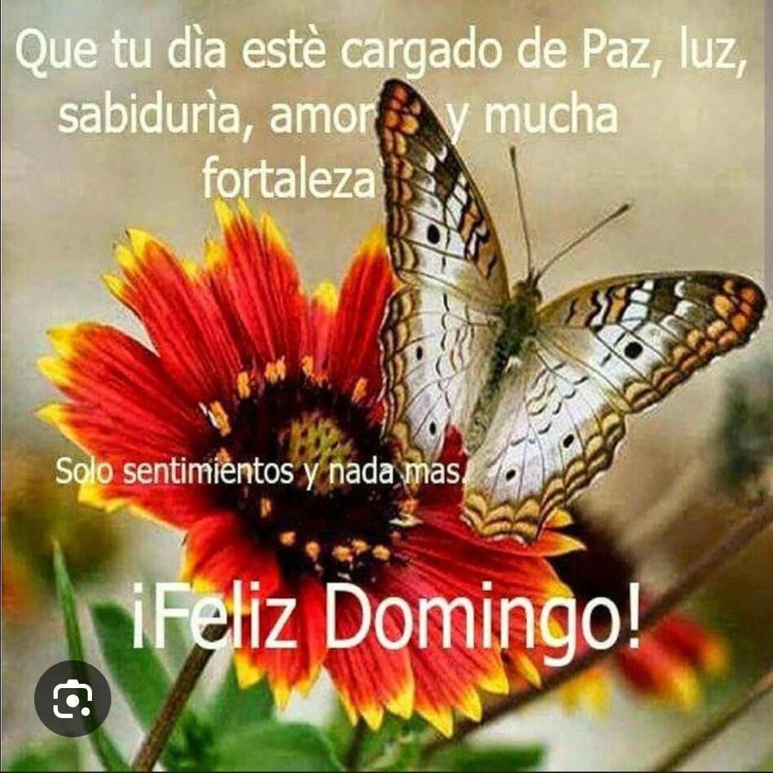 GonzlezRa12's tweet image. #FelizDomingo 🇲🇽🌎❤️ 
¡Buenos días! 🌅
Si las cosas en tu vida parecen un poco lentas, tal vez sea la vida diciéndote que te estás moviendo demasiado rápido. Respira hondo, sé paciente y sé consciente de que todo tiene su tiempo.
Animo!! 
Abrazos para ti 🤗
🦋 🌅❤️🌹🍵🌻🦋🛣️ 
R