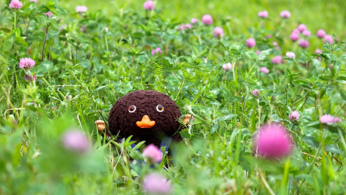 東京トガリ tweet media