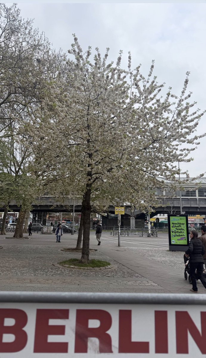 YVES_BRASIL's tweet image. 🍎 Atualização da Yves em seu stories no Instagram (@/yvesntual).

#YVES #이브 #NAIL @Yves___official