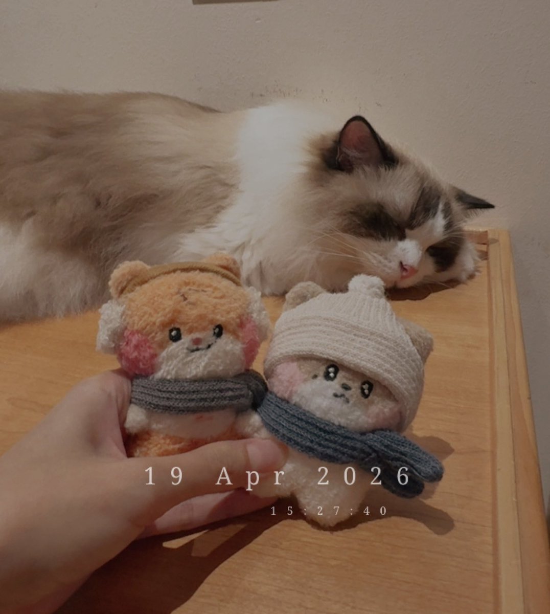 ash (◕ᴗ◕✿) tweet media
