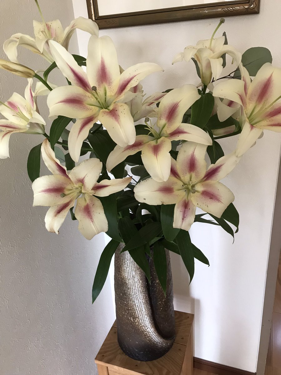 ほくと124 tweet media