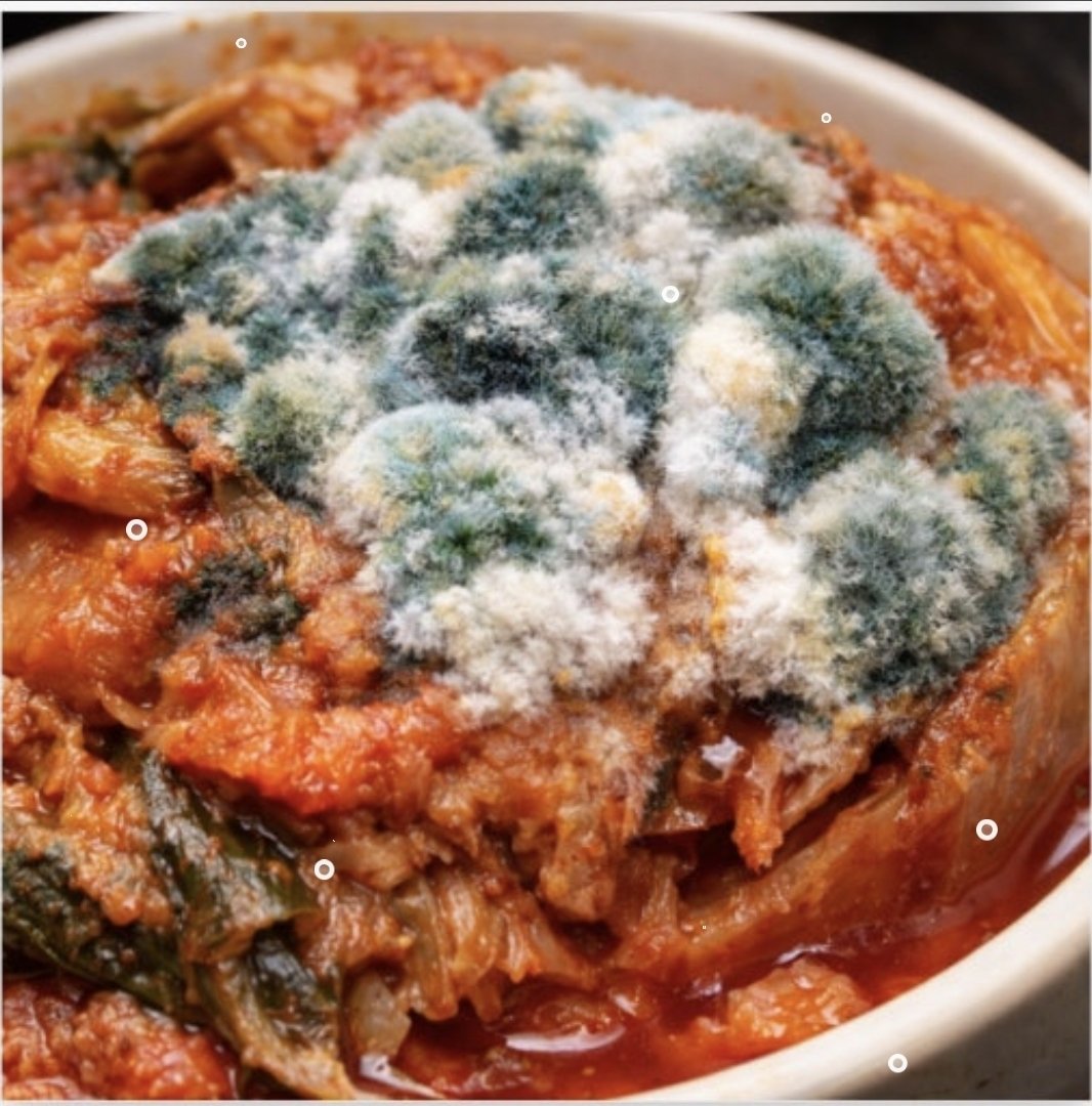 <건강상식>
우리가 매일 먹는 김치에 대한 정보 공유

먹어도 되는 김치와 먹으면 큰일 나는 김치를 들어보셨나요?🤔

1. 먹어도 되는 김치(왼쪽사진)
김치 표면의 하얀색의 평평한 막은 곰팡이가 아니라 '골마지(Golmaji)'라고함.
이건 효모에 의해 생성된 거라 인체에 무해함

2.먹으면 큰일 나는