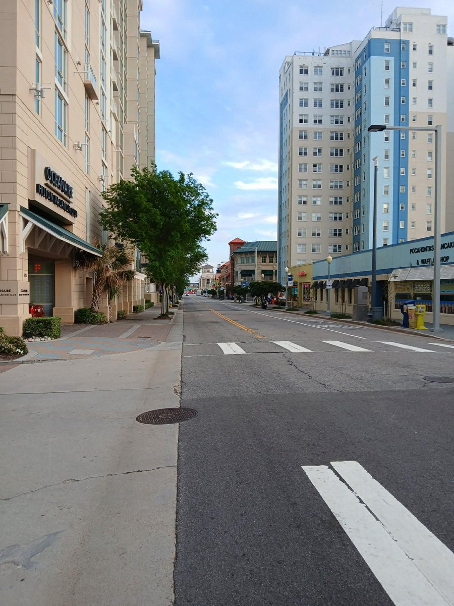 Tim Anderson tweet media