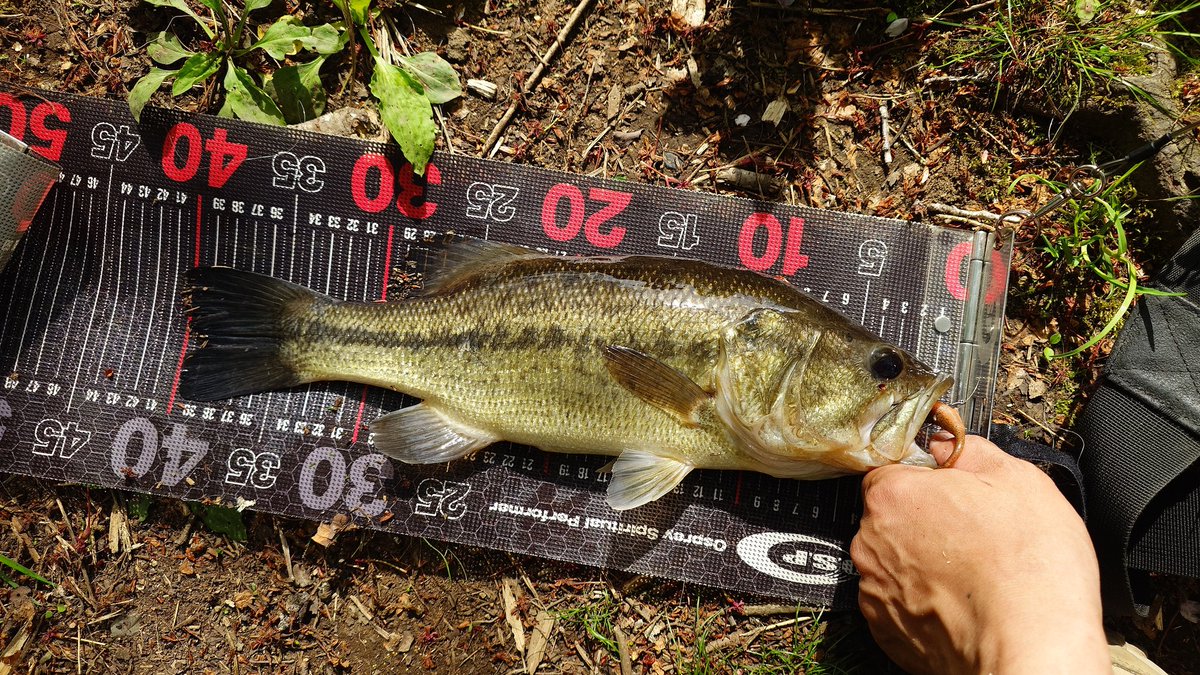 Re:Na(レイナ) tweet media