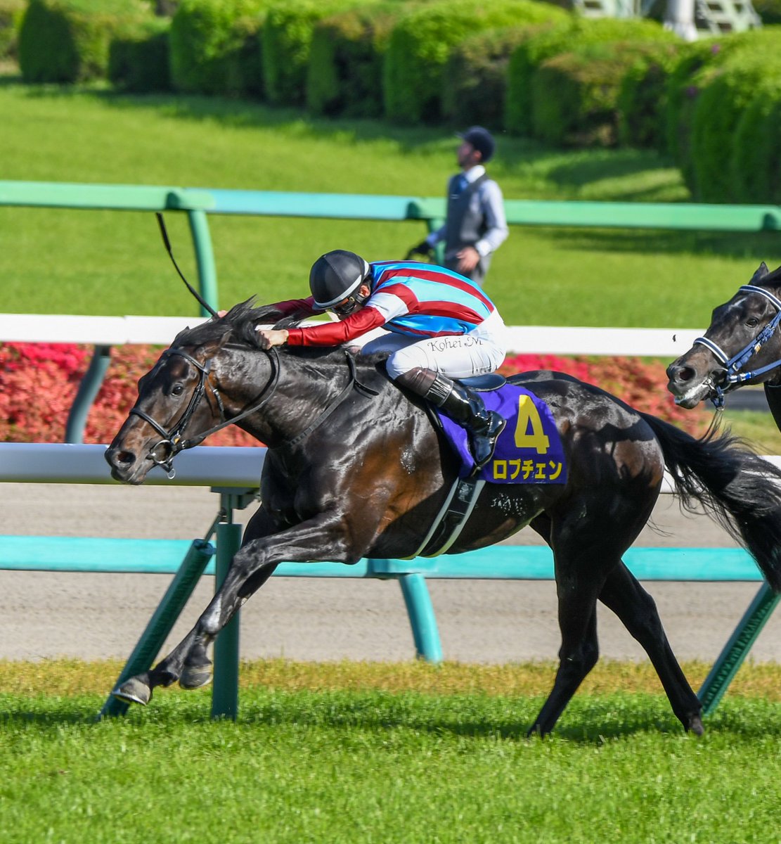 GungnirTom's tweet photo. 2026/04/19 中山11R
G1 皐月賞
🥇ロブチェン
めちゃつよだったわ
#皐月賞
#ロブチェン
#松山弘平.騎手
#中山競馬場 https://t.co/FegNJzj5ht
