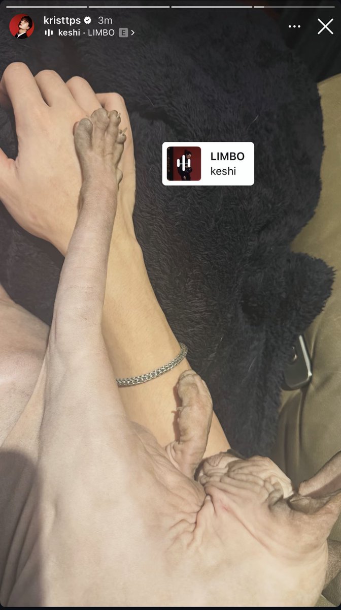 Wila •◦ tweet media