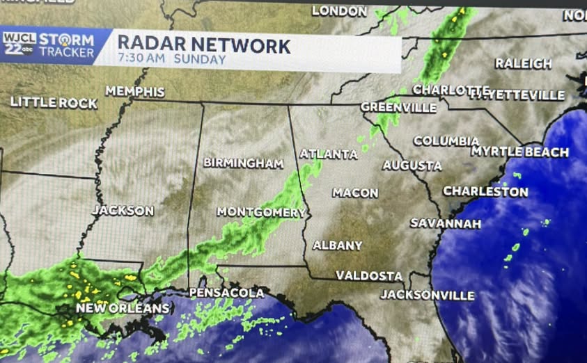 Melissa Hall tweet media