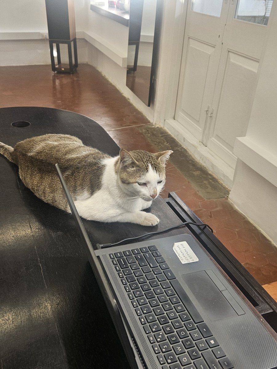 mridulachakraborty.🇮🇳 tweet media