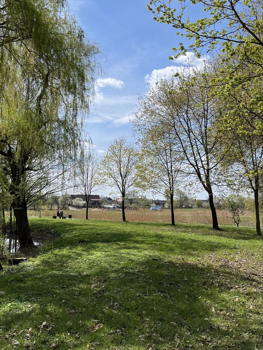 пані степова сарна (@stepova_sarna) on Twitter photo 