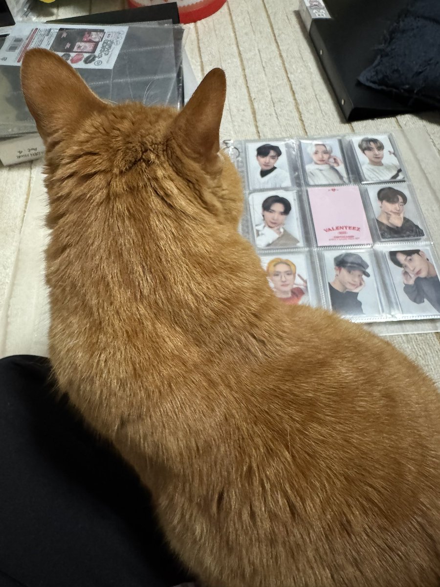 Micotarw tweet media