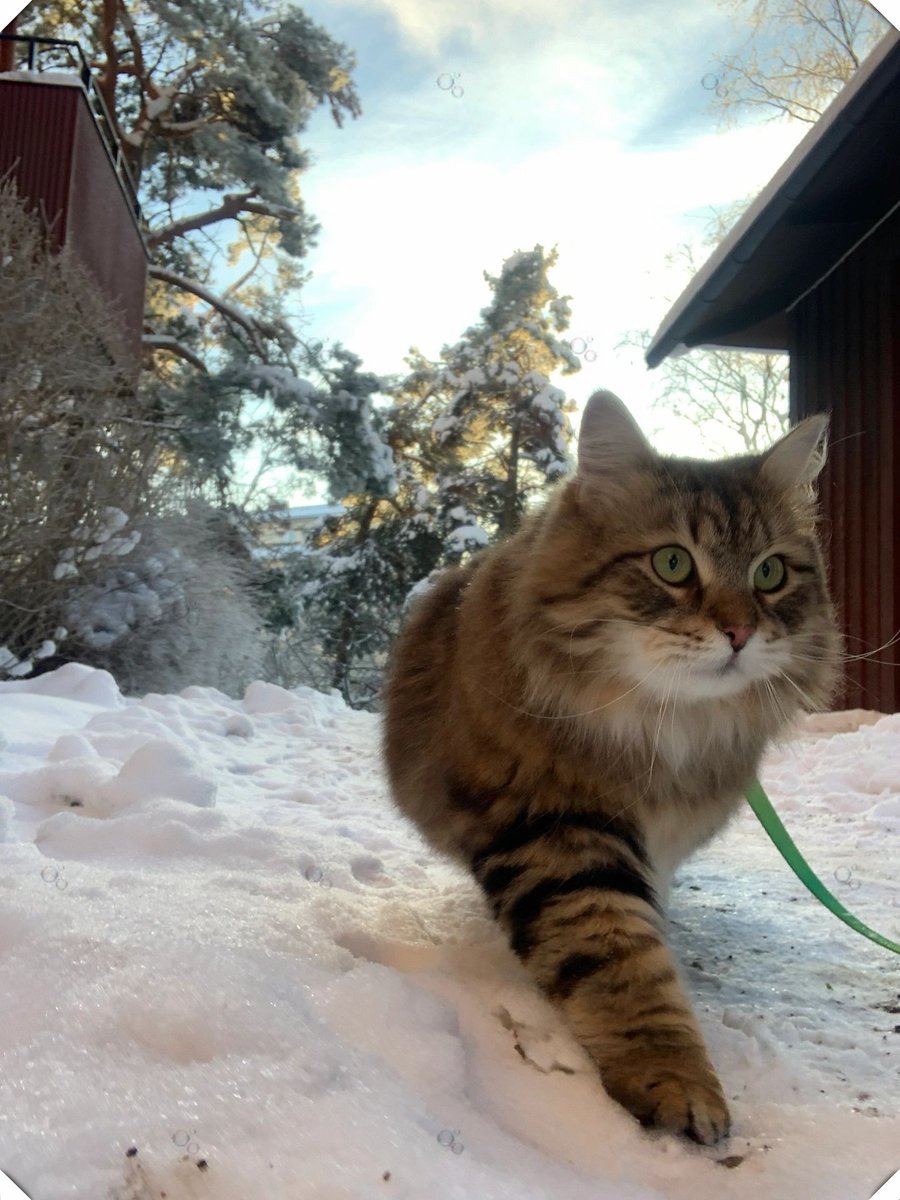 Dahee Kan tweet media