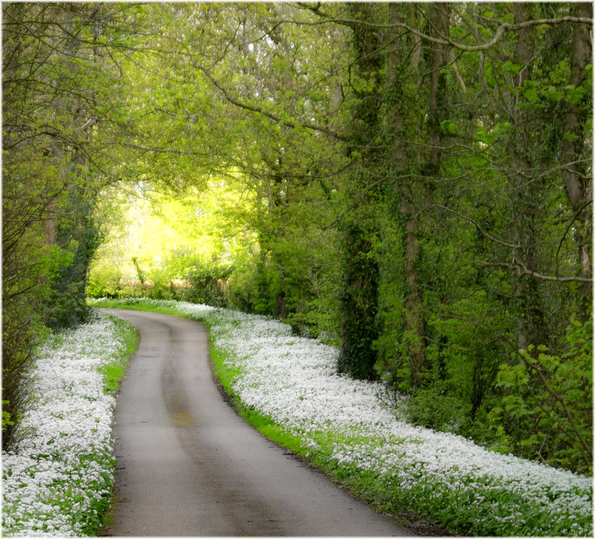 Richard Jones tweet media