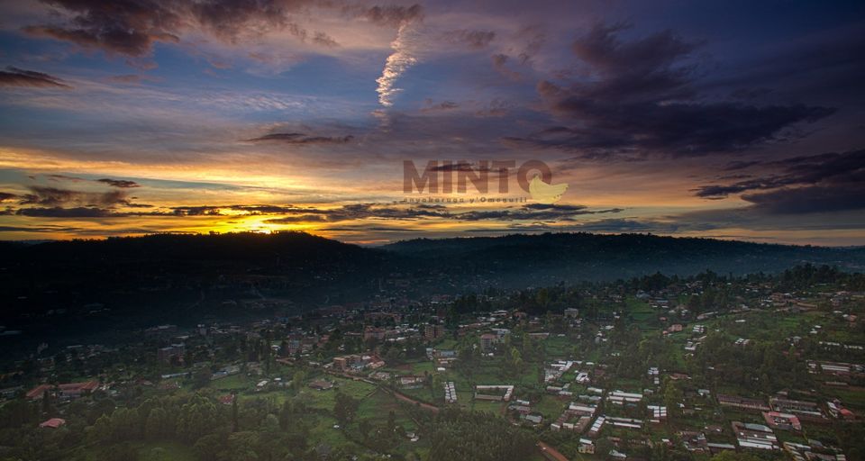 MintoFM tweet media