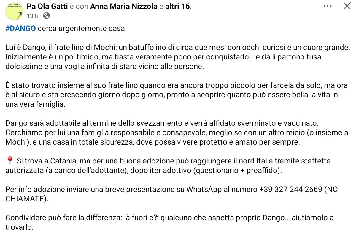 un atto d'amore odv tweet media