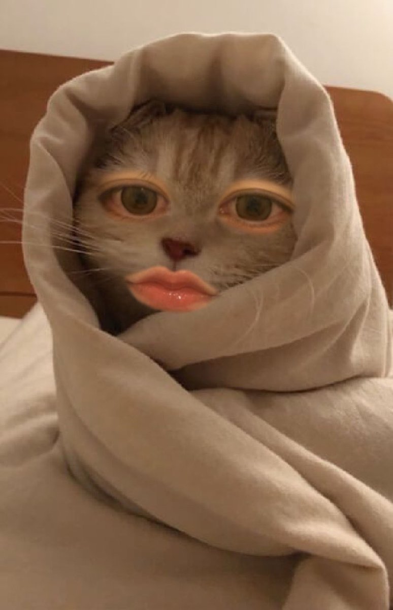 𝖆𝖓𝖈𝖔 tweet media