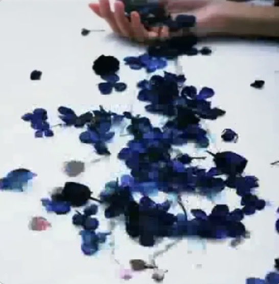 せとか tweet media