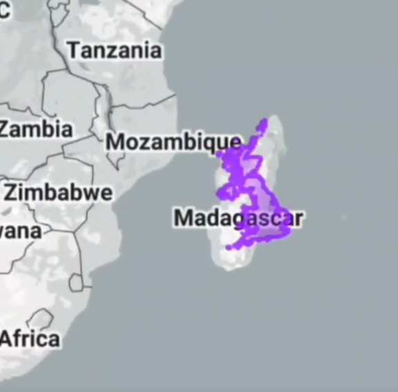 Kevin Browning 🐝 tweet media