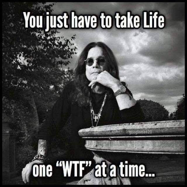 👑🎸Rⲟⲥⲕⲓⲛ'*Ⲙ*🎸👑 tweet media