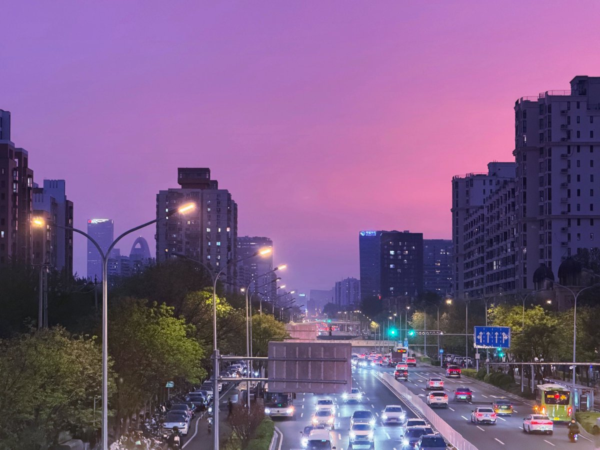 Diana Blanchett tweet media