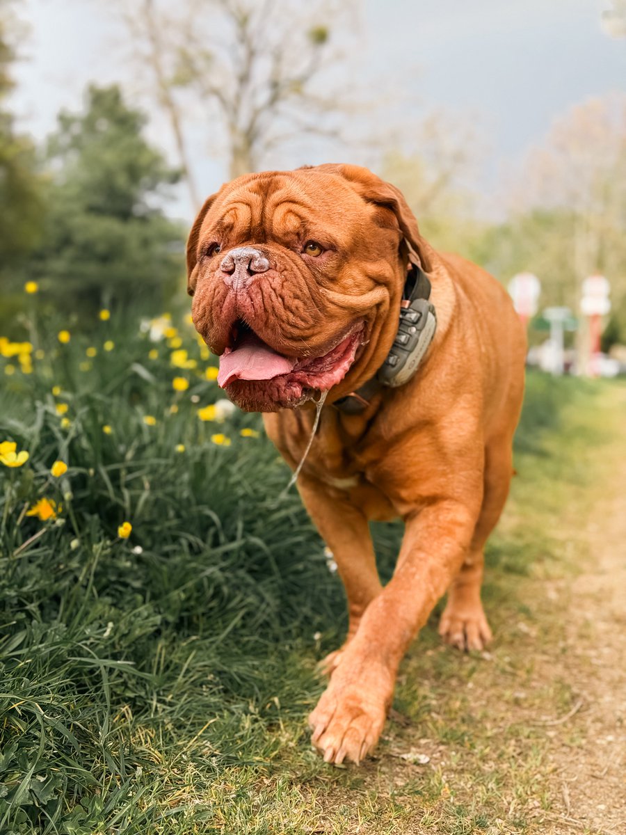 Baptiste PROVOOST tweet media