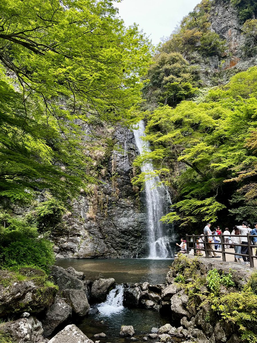 やまもっさん＠麻酔アシスタントCE tweet media