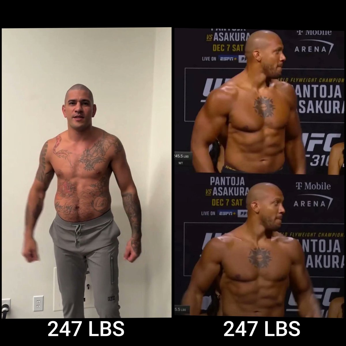 The Fight Fanatic tweet media