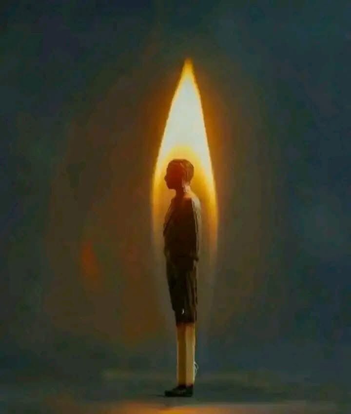 O.R.A.C.L.E 🪬🕊️ tweet media