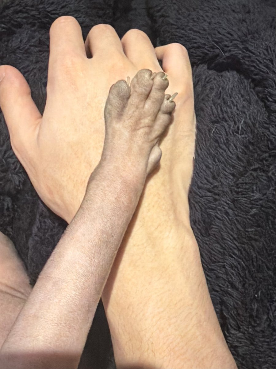 คุณพี⛅💛 tweet media