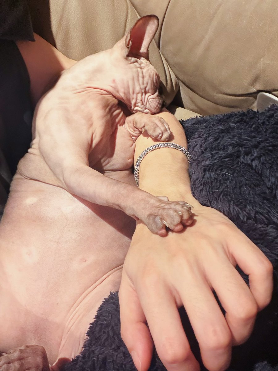 คุณพี⛅💛 tweet media