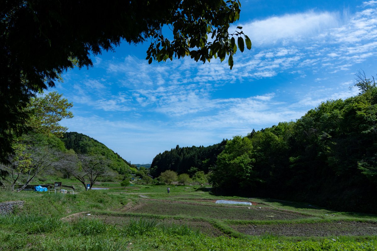 おもち tweet media