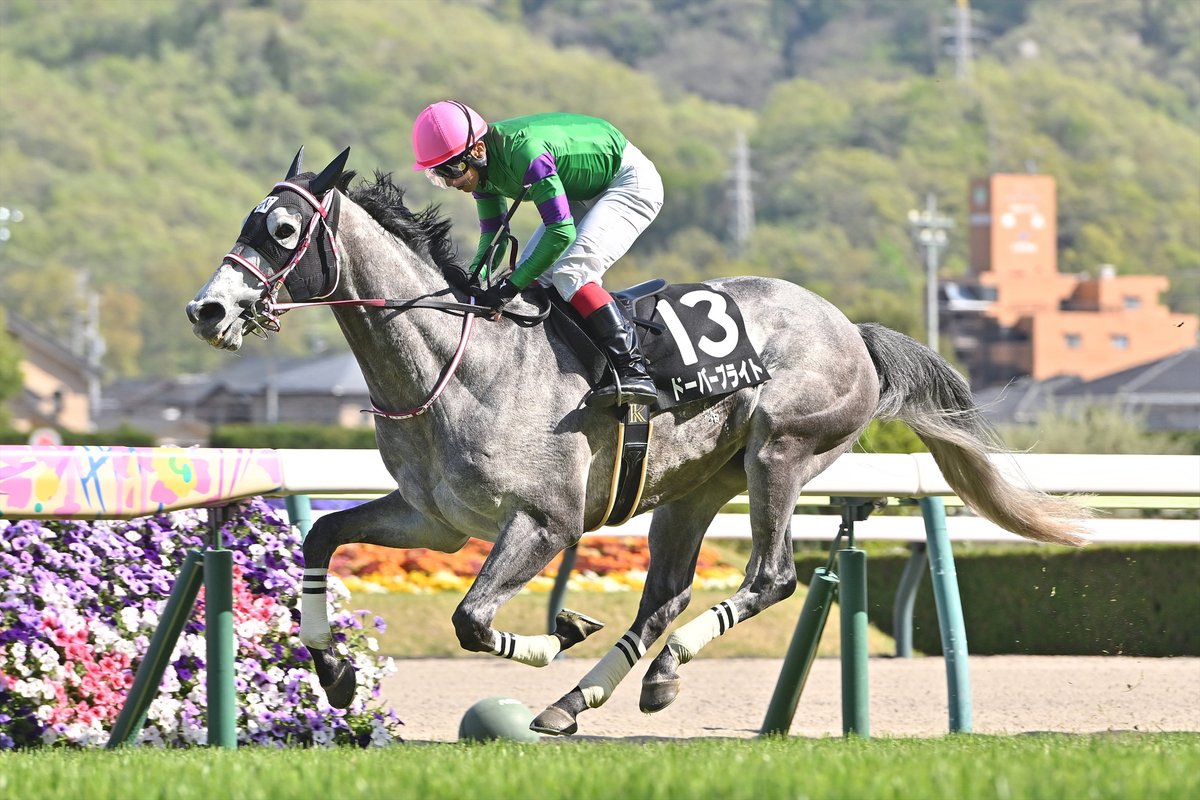 netkeiba tweet media