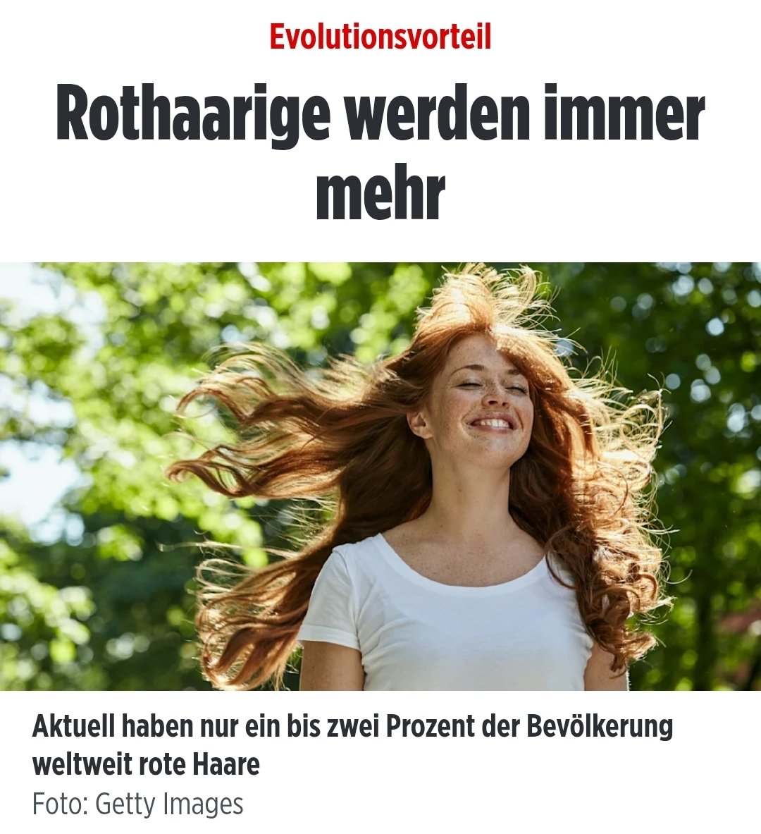 Waldhüterin 🌲🍄 tweet media