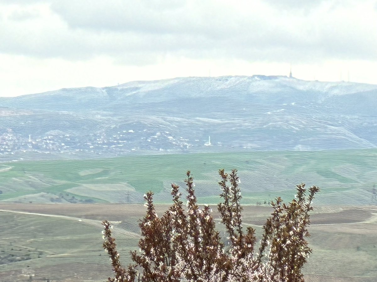 Bayram Sade tweet media