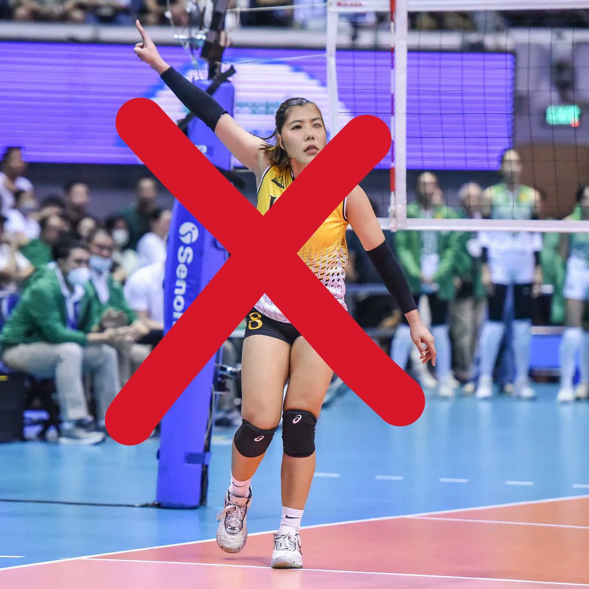 xyza gulat tweet media