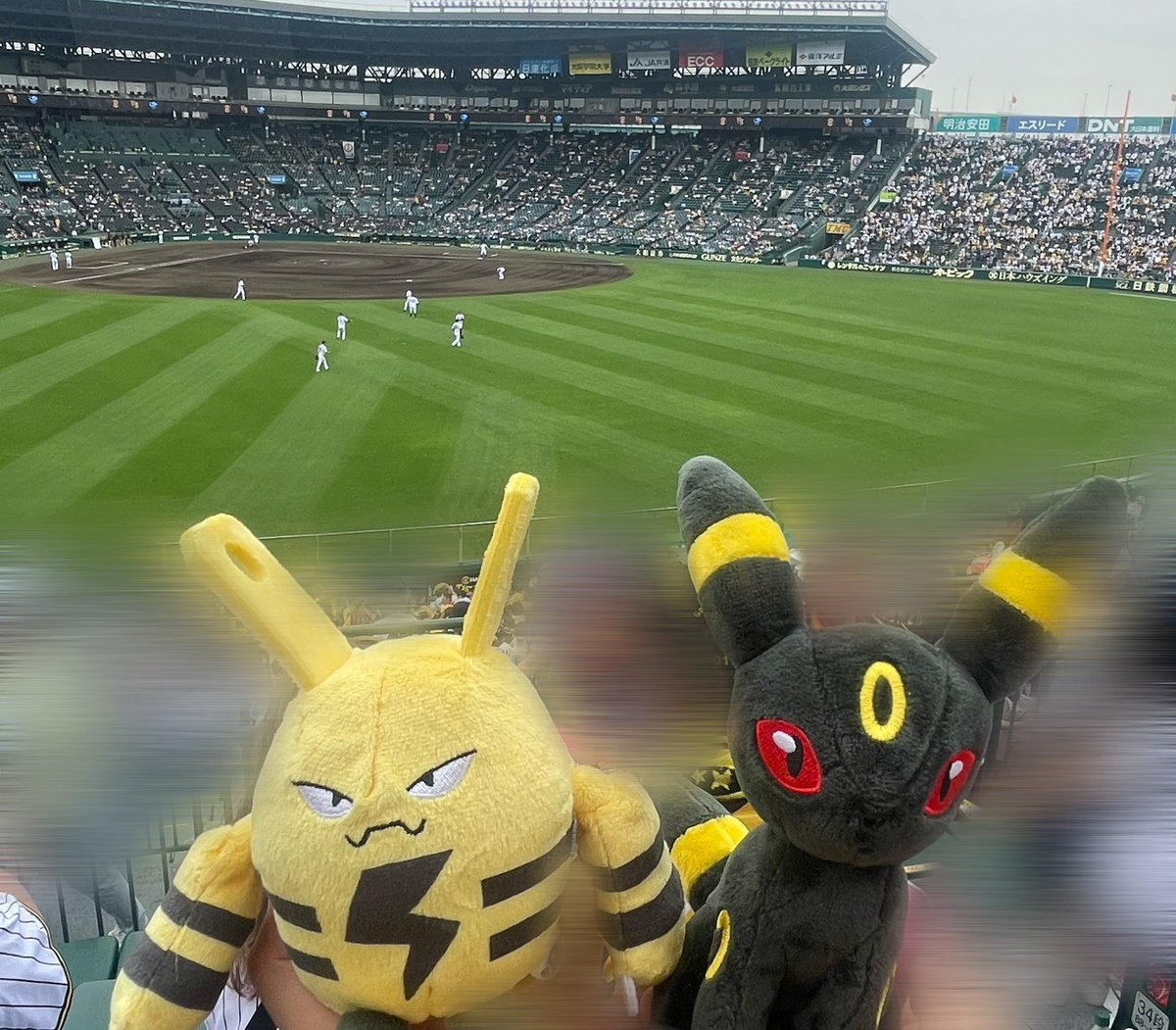 ミヅキ tweet media