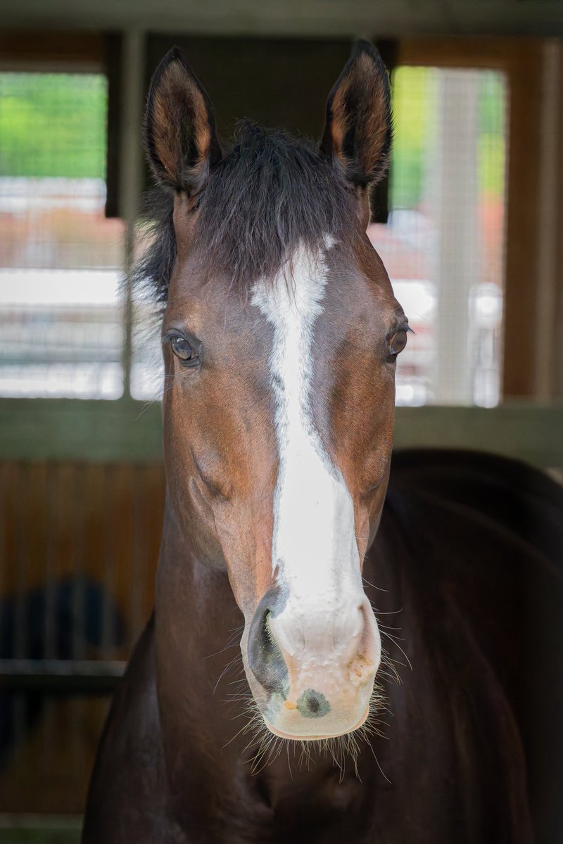 あまに tweet media