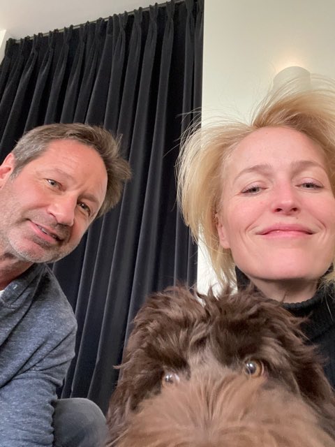 The X-Files / David and Gillian tweet media