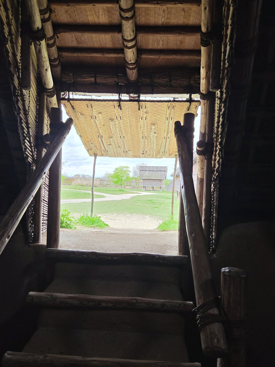 きょうりゅう🦖感謝感激カンブリア紀 tweet media