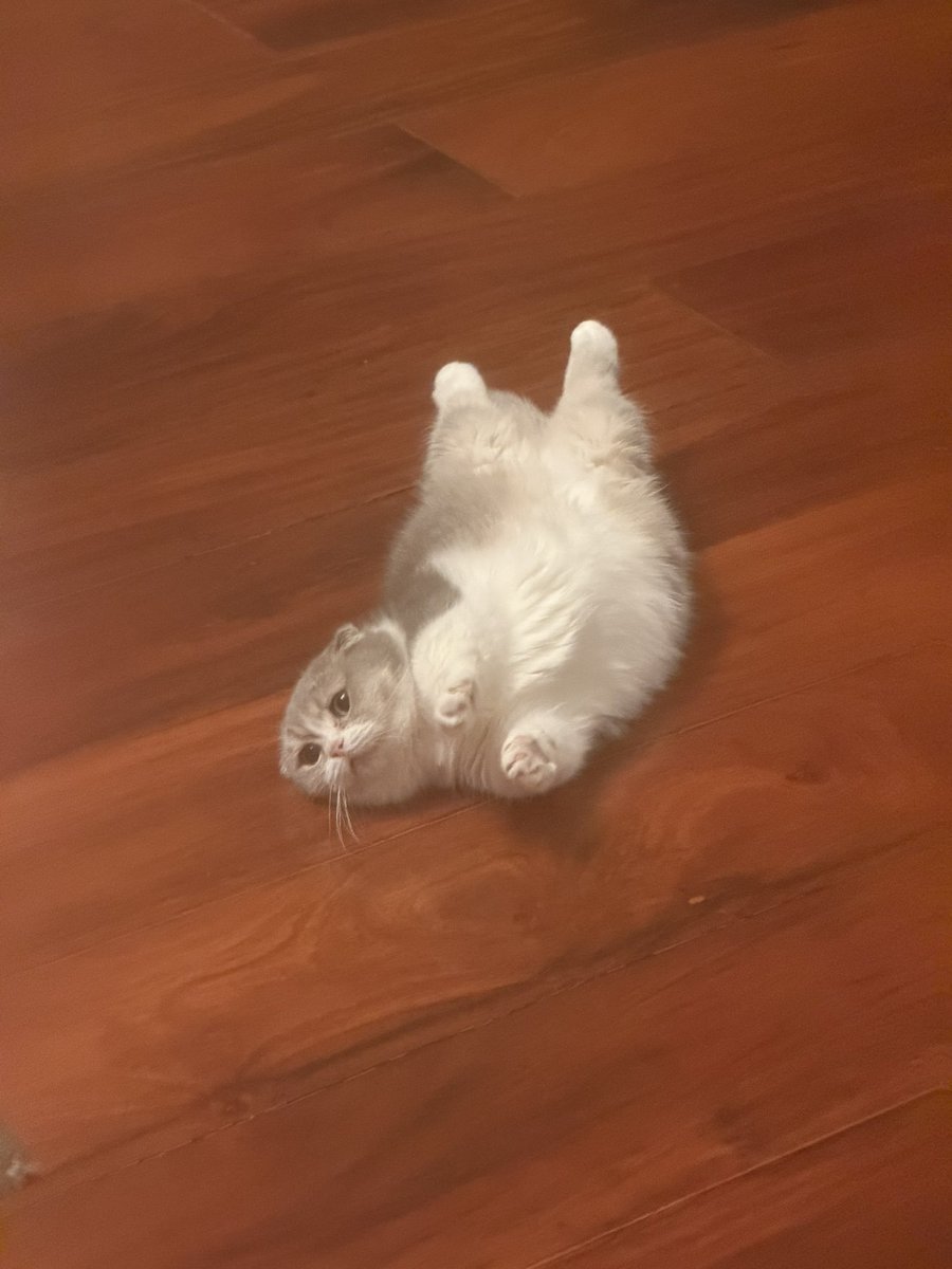 คุณพี⛅💛 tweet media