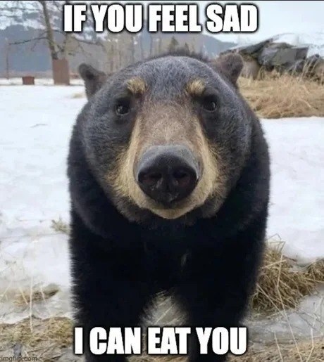 BlutHartz tweet media