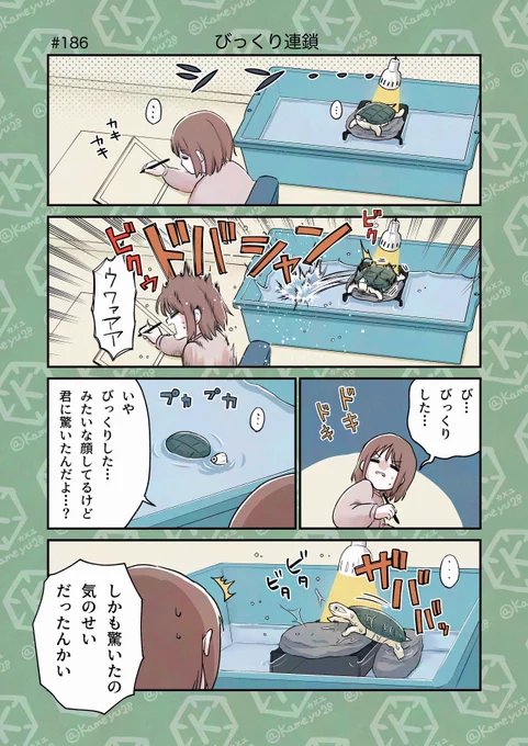 亀飼い漫画「びっくり連鎖」 